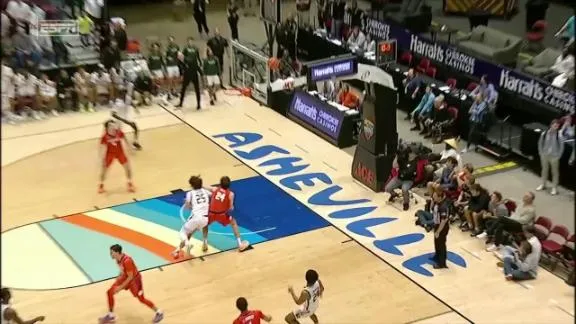 Efrem Johnson, Basketball, Clemson University