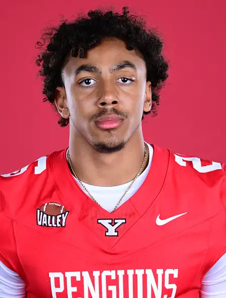 Stephen Sims, Football, Youngstown State University
