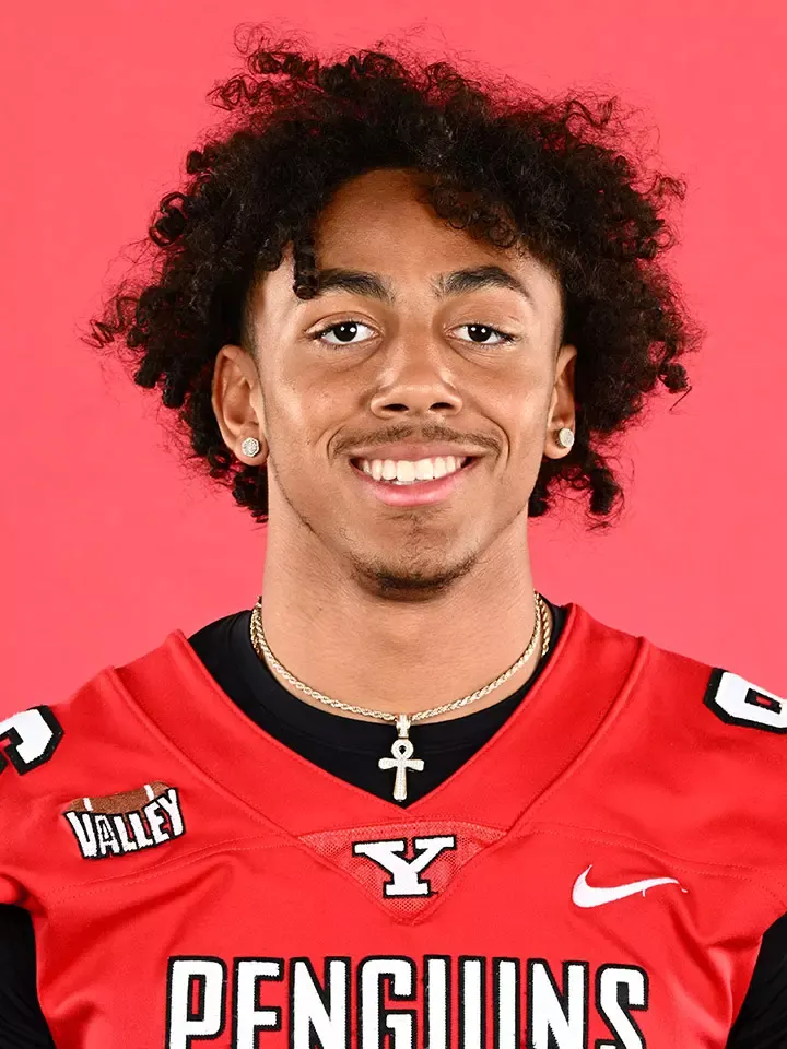 Stephen Sims, Football, Youngstown State University