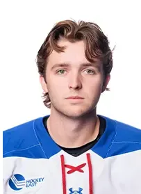 Henry Nelson, Hockey, University of Notre Dame