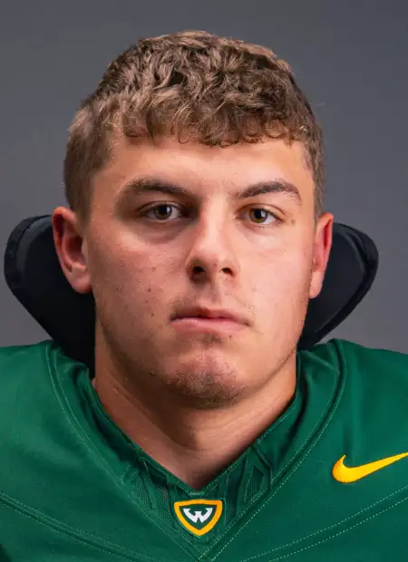 Haiden Bollini, Football, Wayne State University