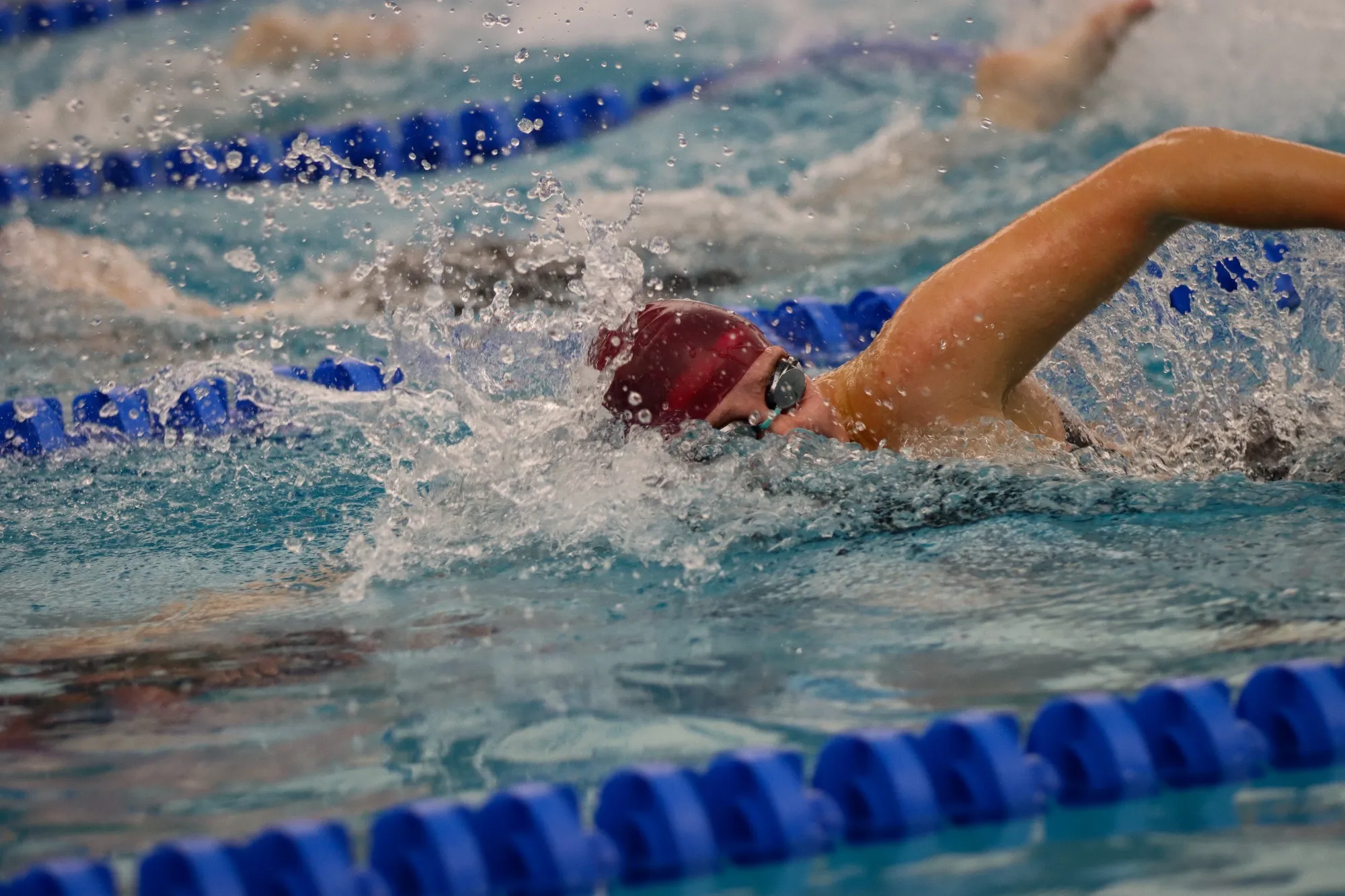 Olivia Elgin, Swimming & Diving, University of Arkansas at Little Rock