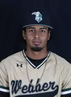 David Zamora, Baseball, undefined