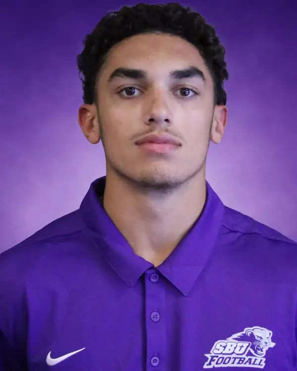 Dante Dixon, Football, Southwest Baptist University