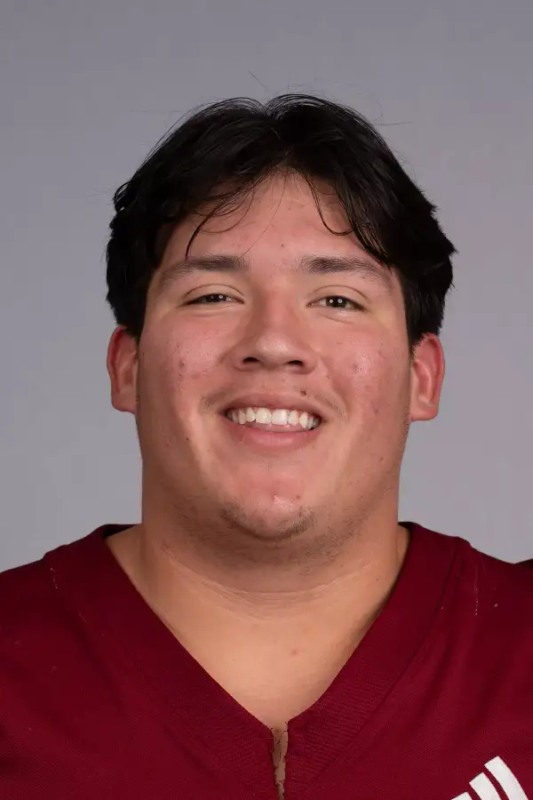 Nathan Wolbrecht, Football, Henderson State University