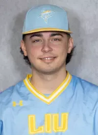 Justin DeCastro, Baseball, Long Island University