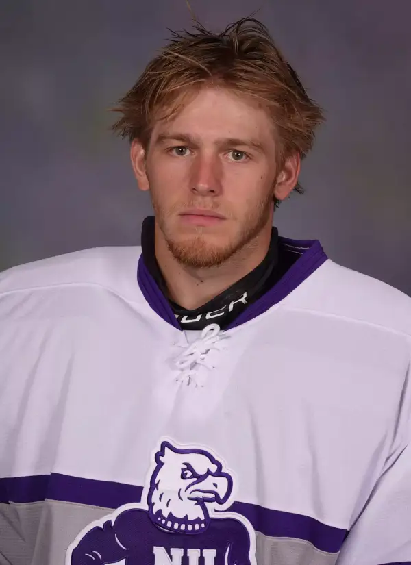 Tomas Anderson, Hockey, Niagara University