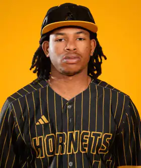 Devin Chandler, Baseball, undefined