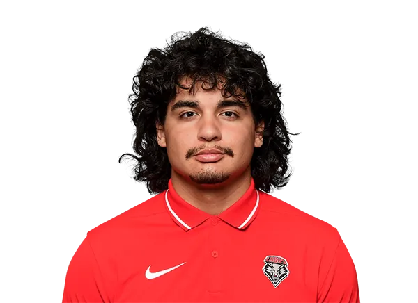 Adrian Melesio, Football, undefined