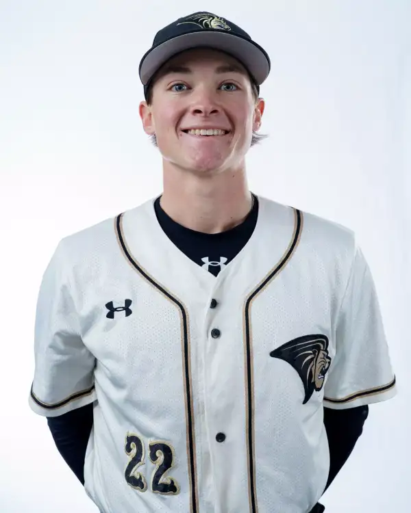 Tyler Ellis, Baseball, Lindenwood University