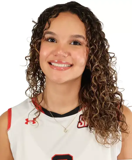 Ana Andrades-Villa, Volleyball, Saint Francis University