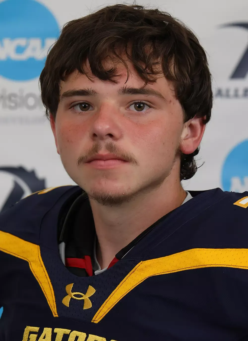 Matthew Johnston, Football, Allegheny College