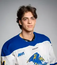 David Elmy, Hockey, undefined