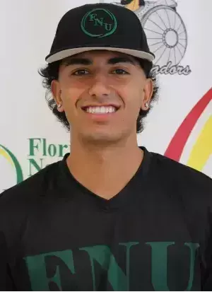 Diego Sousa, Baseball, undefined