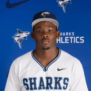 Anthony Stinson, Baseball, undefined