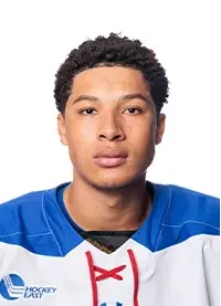 Michael Felsing, Hockey, undefined