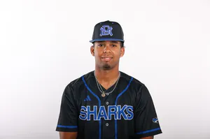 Willy Mendez, Baseball, undefined