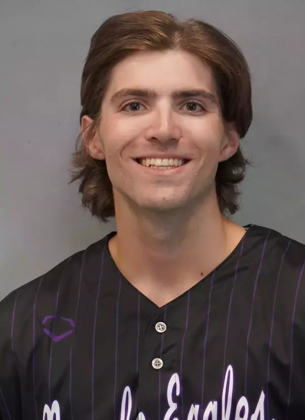 Shawn Cameron, Baseball, Niagara University