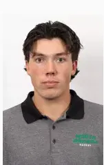 Dalton Andrew, Hockey, undefined