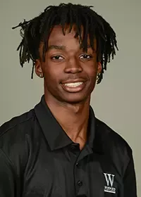Terrence Honeywood, Football, undefined