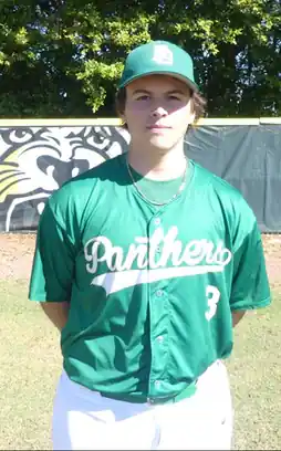 Nik Halleran, Baseball, undefined