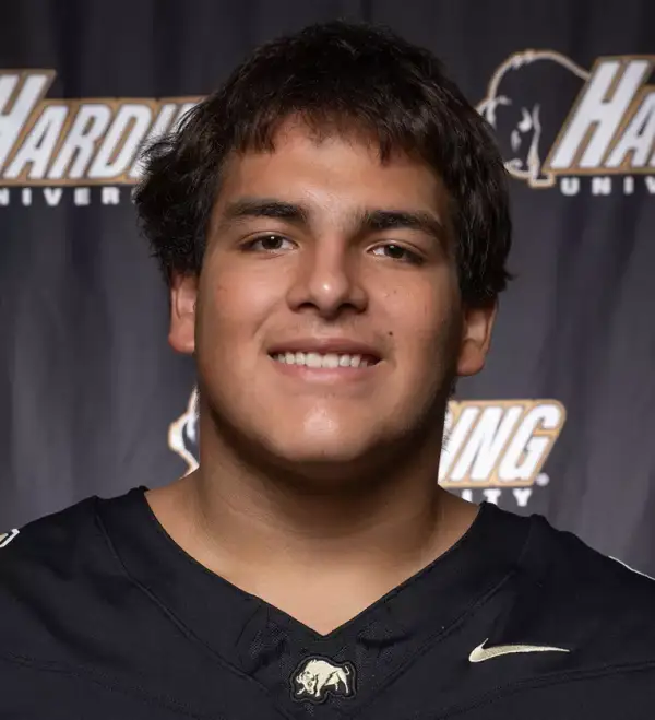 Andrew Alvarez, Football, Harding University