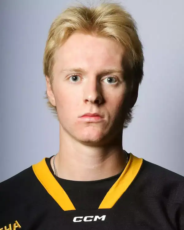 Morgan Brady, Hockey, Michigan Tech University