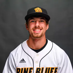 Tyler Straily, Baseball, undefined