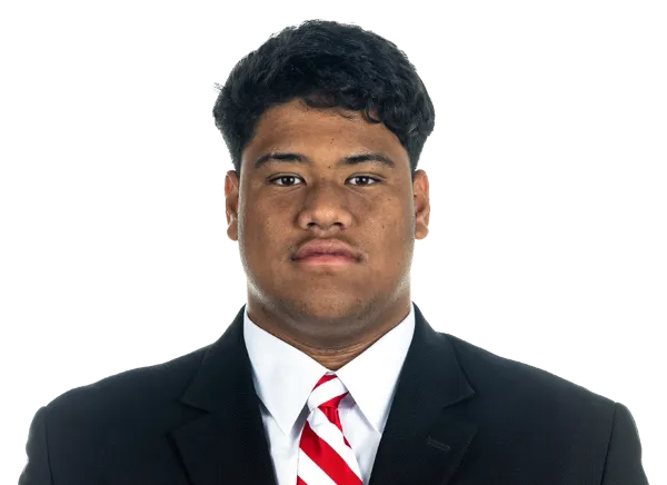 Houston Ka'aha'aina-Torres, Football, University of Michigan