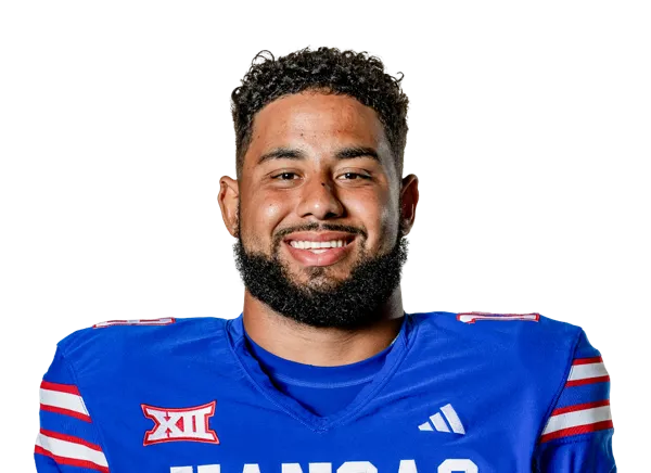 DeShawn Hanika, Football, undefined