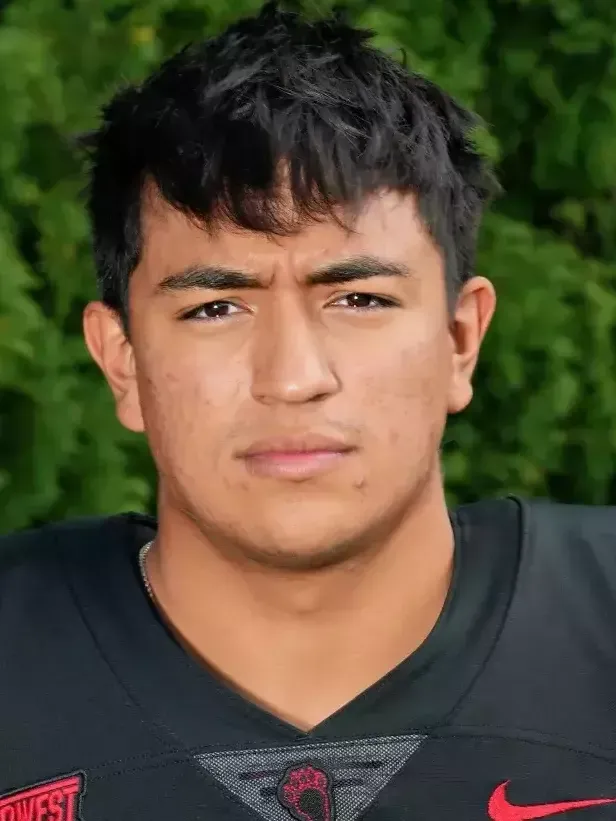 Diego Rodriguez, Football, undefined