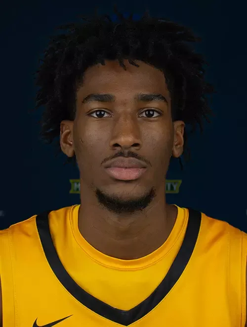Darius Robinson, Basketball, Methodist University