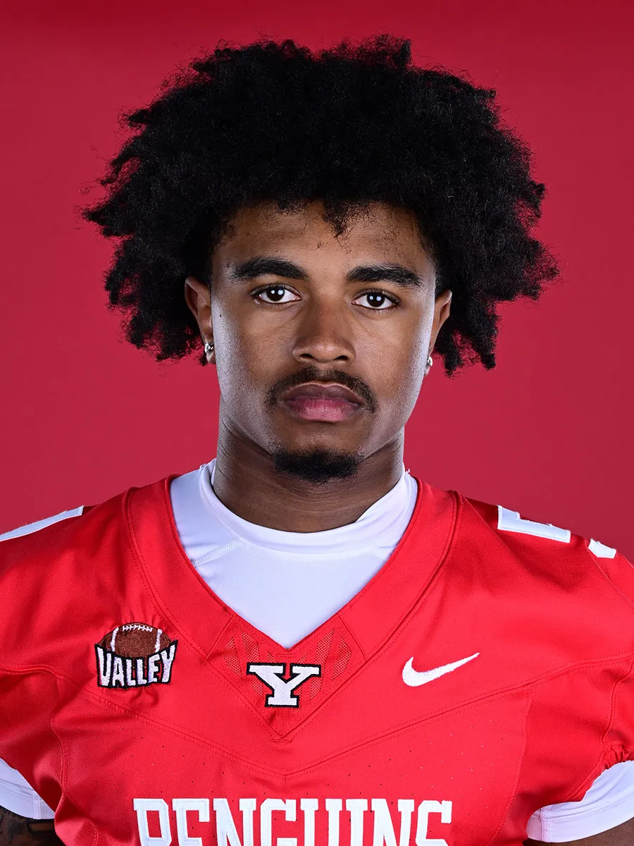 Alex Hill, Football, Youngstown State University
