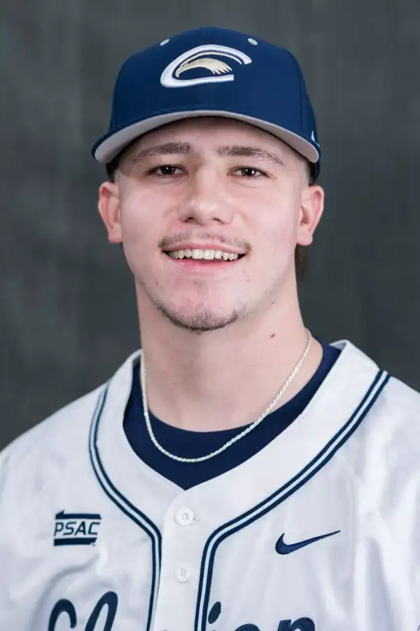 Aiden Gruber, Baseball, Clarion