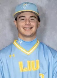 Nicholas Delvecchio, Baseball, Long Island University
