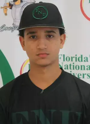 Dominique Hernandez, Baseball, undefined