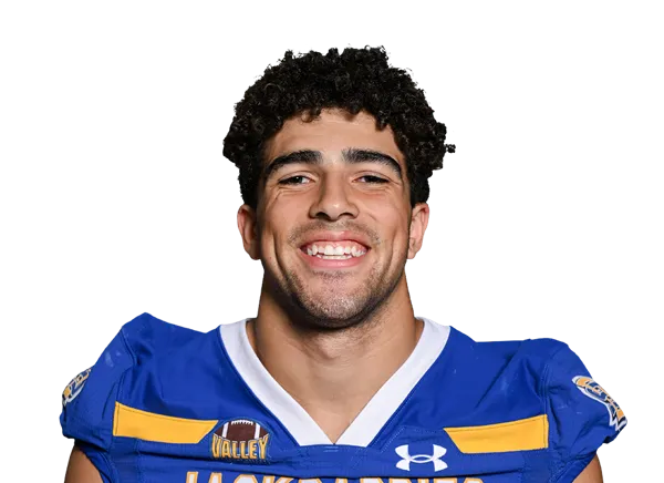 Sebastyen Fries, Football, undefined