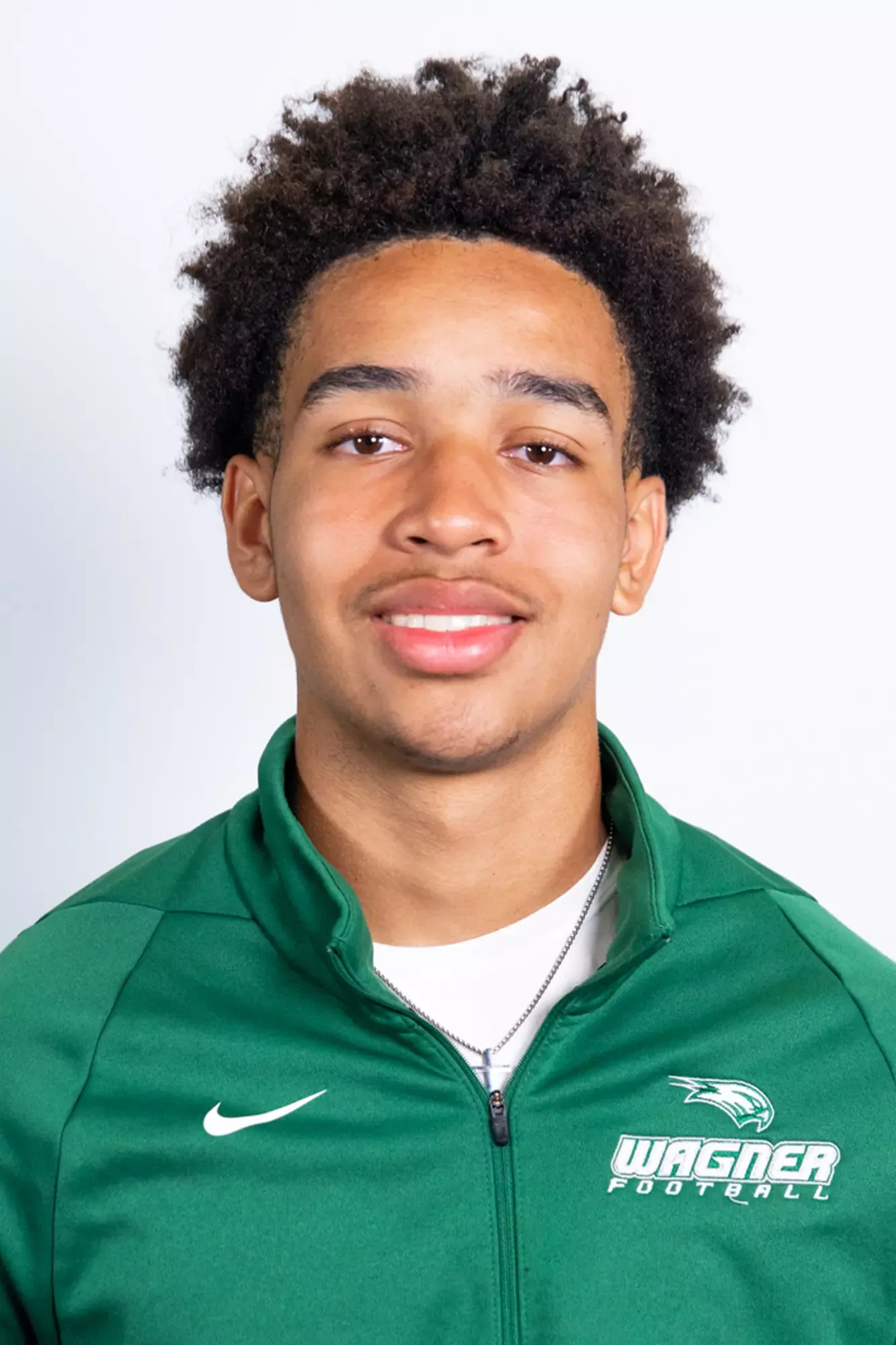 Luke Carryl, Football, Wagner College