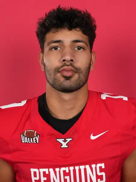 Colin Seibert, Football, Youngstown State University
