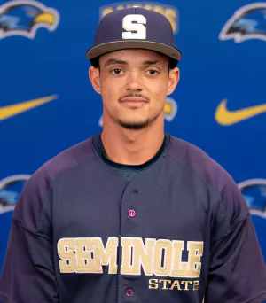 Julio Lluberes, Baseball, undefined