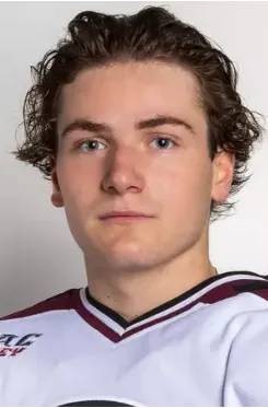 Etienne Lessard, Hockey, undefined