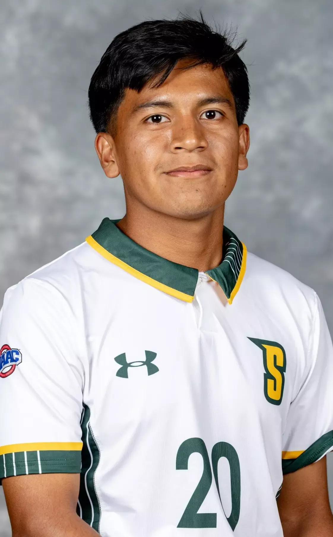 Mark Cajamarca, Soccer, Siena College