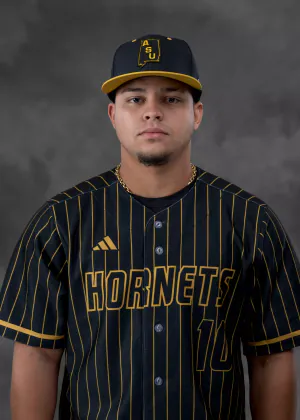 Jose Alfonso, Baseball, undefined