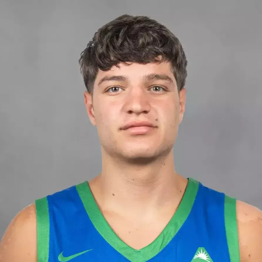 Nikolas Sermpezis, Basketball, undefined