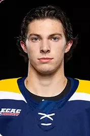 Matthew Lansing, Hockey, undefined