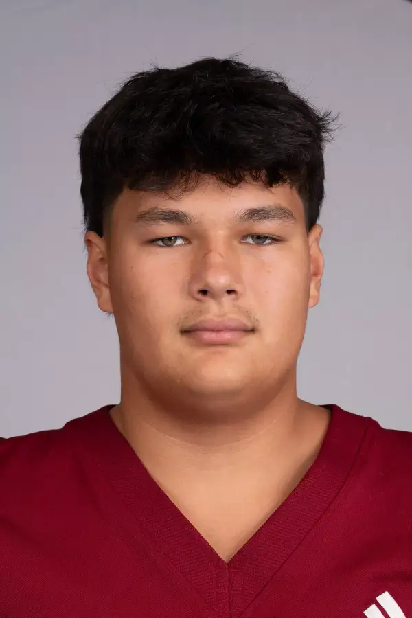 Andrew Toy, Football, Henderson State University