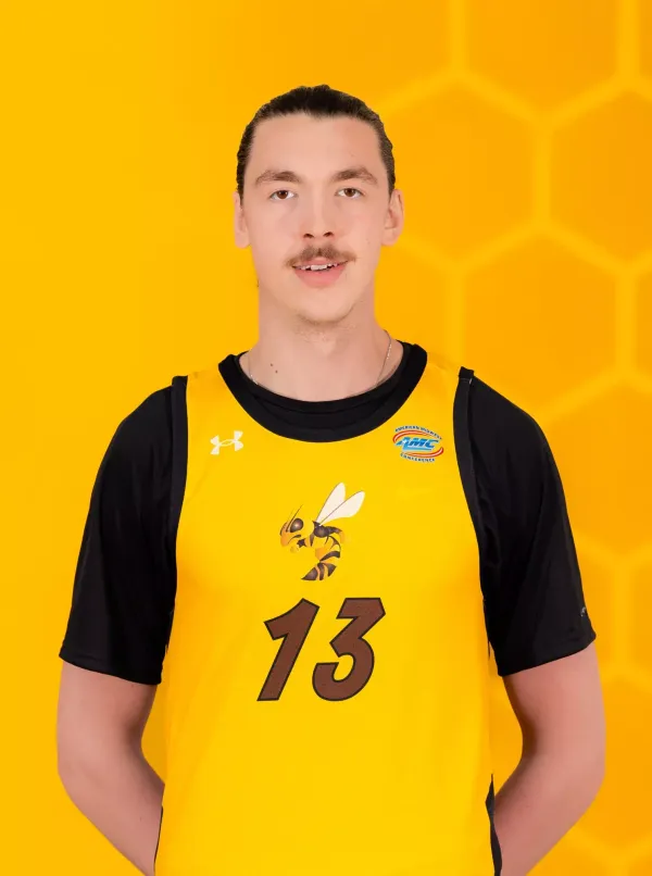 Dimitrije Stojanovic, Basketball, Harris-Stowe State University