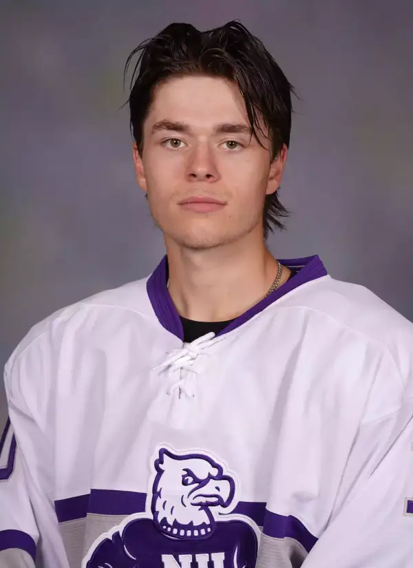 Hunter Wallace, Hockey, Niagara University