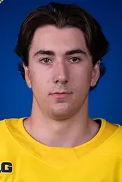 Drew Schock, Hockey, undefined