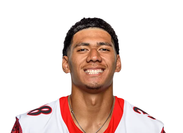 Lucan Amituanai, Football, undefined